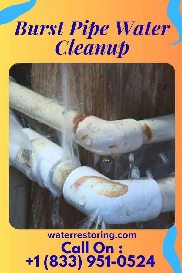 Burst Pipe Water Cleanup in South Lyon, MI