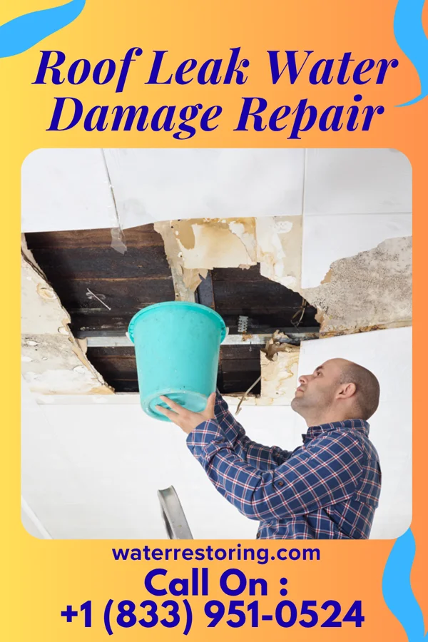 Roof Leak Water Damage Repair in South Lyon, MI