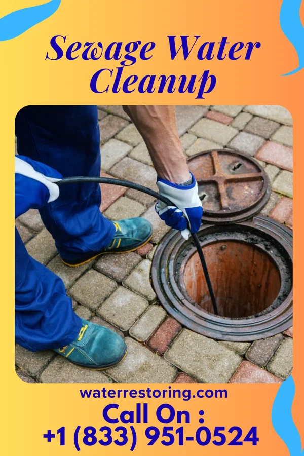 Sewage Water Cleanup in South Lyon, MI