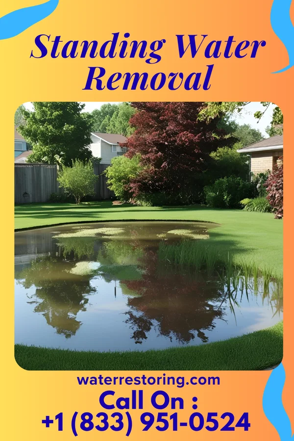 Standing Water Removal in South Lyon, MI